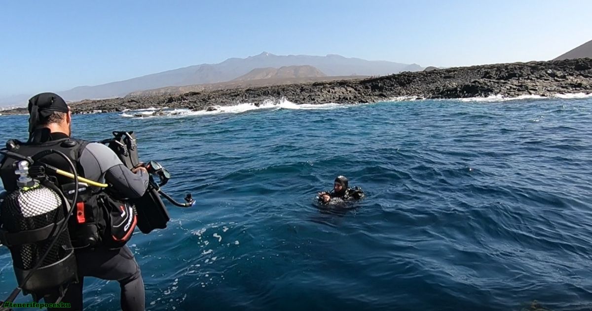 Potápění na Tenerife pro certifikované potápěče (2 ponory) - 9