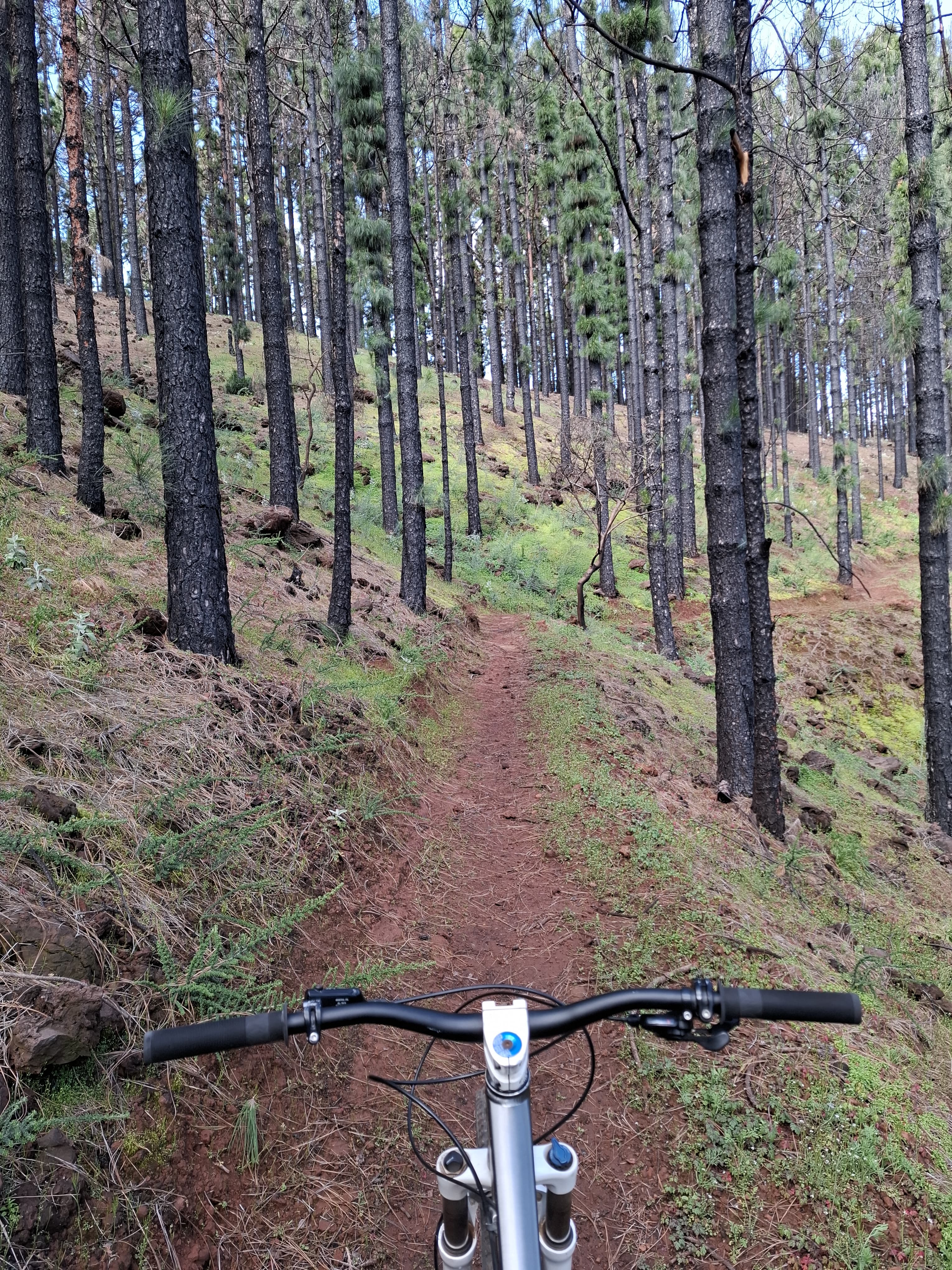 Cyklistický výlet na horském kole XC