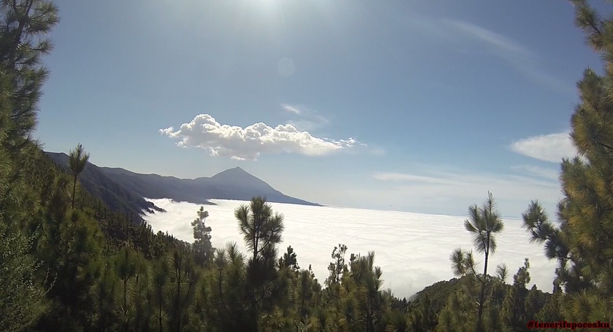 Tenerife křížem krážem