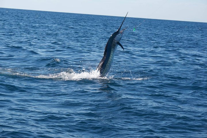 Sportovní rybaření Tenerife - 7