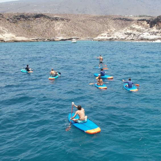 Paddleboarding